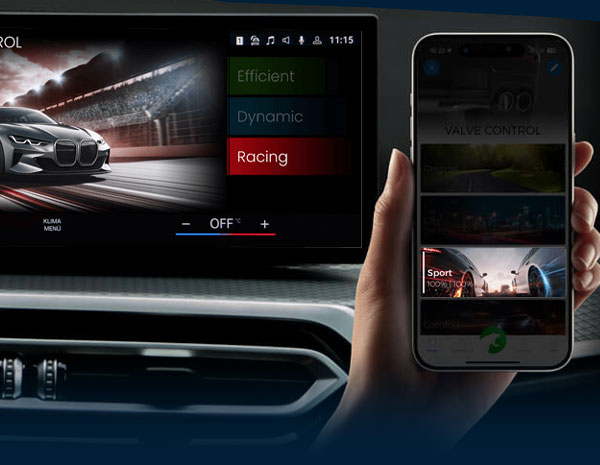 Control via Vehicle Buttons